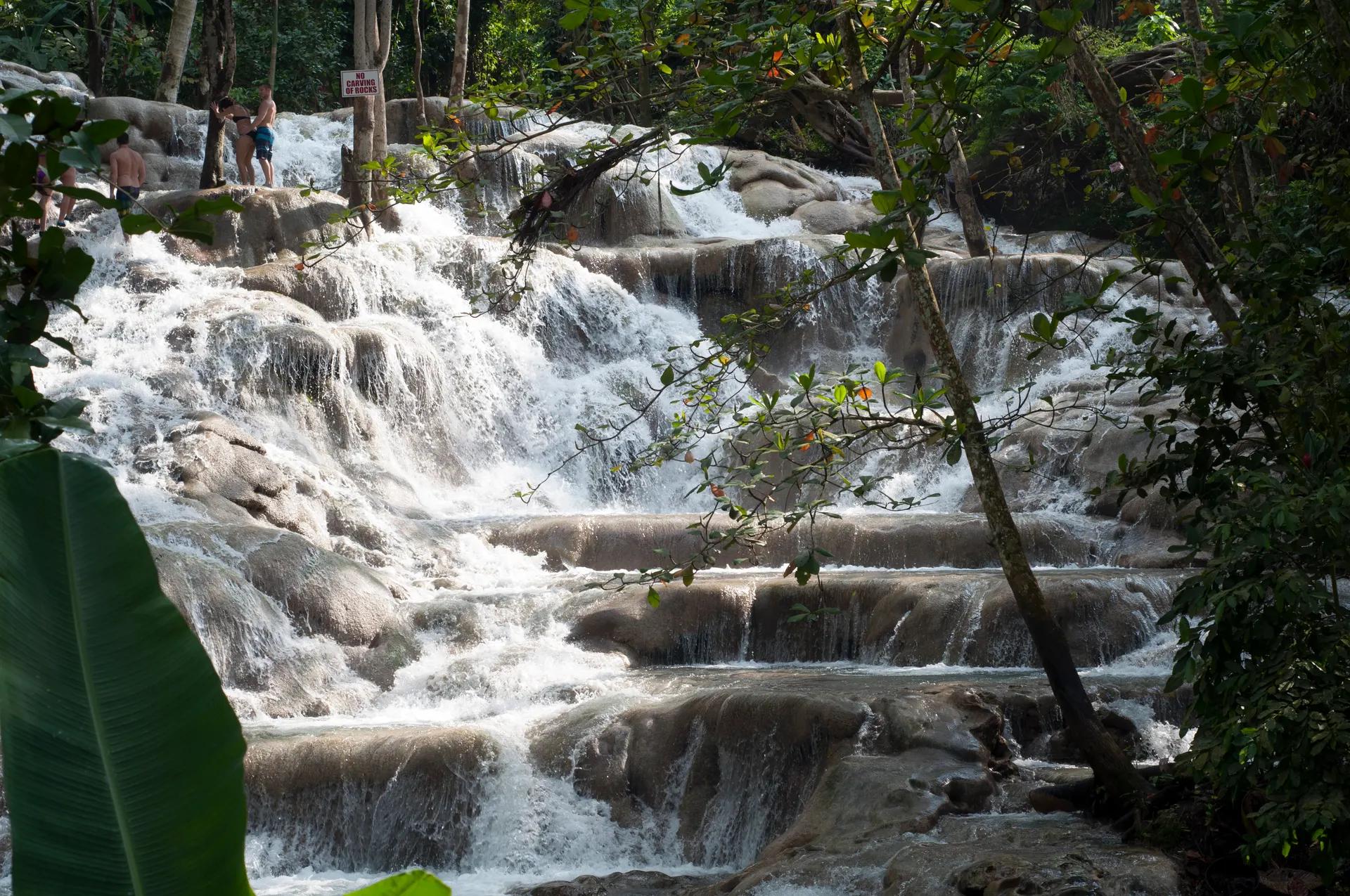 Water cascading over wide limestone terraces at Dunn's River Falls near Ocho Rios