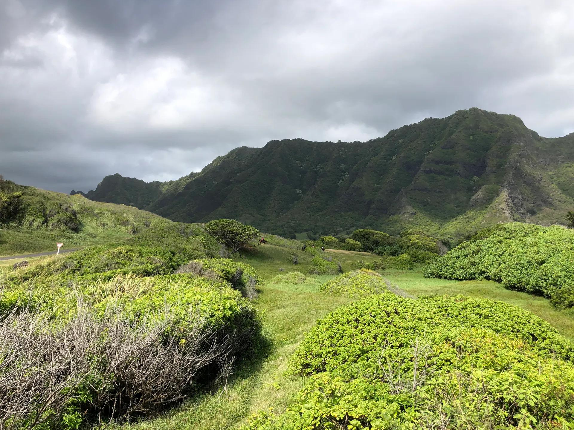 Steep green ridges of Kaaawa Valley seen from Kamehameha Highway