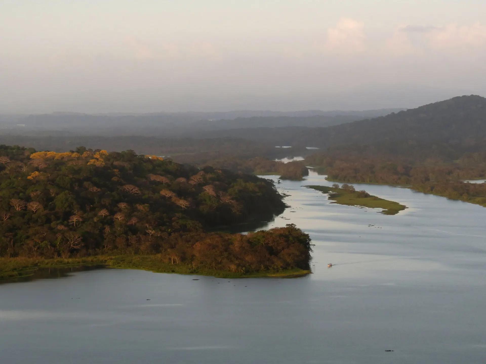 Chagres River winding through forest near Gamboa