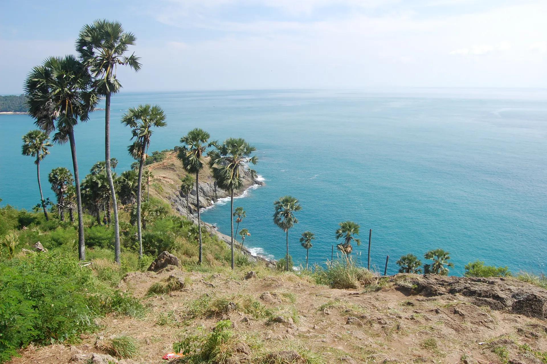 Palm-lined headland of Promthep Cape above the Andaman Sea