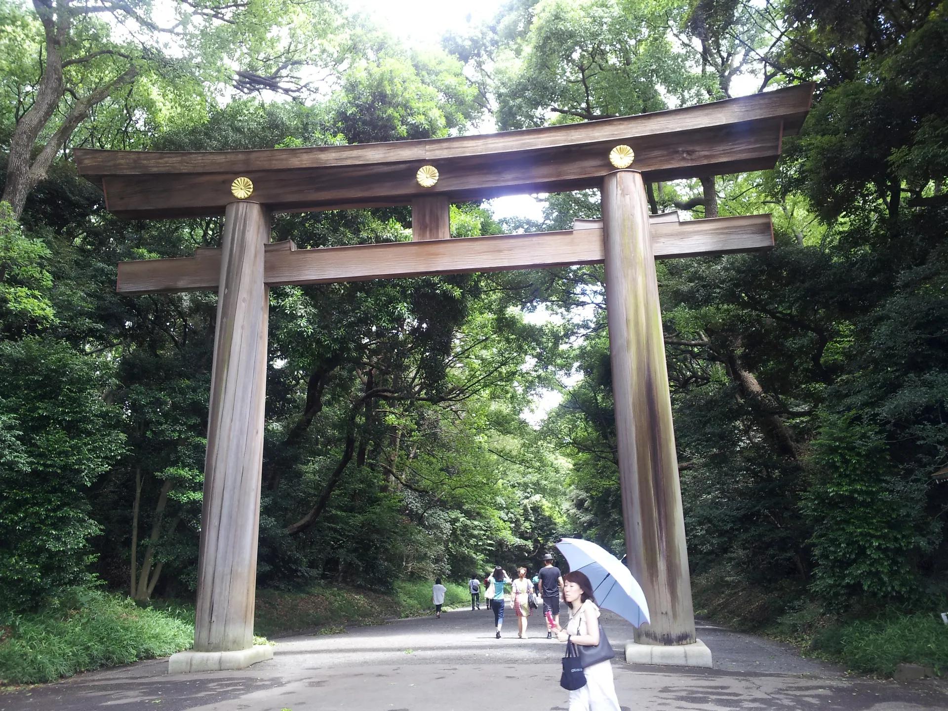 Large wooden torii gate on the forest path to Meiji Jingu