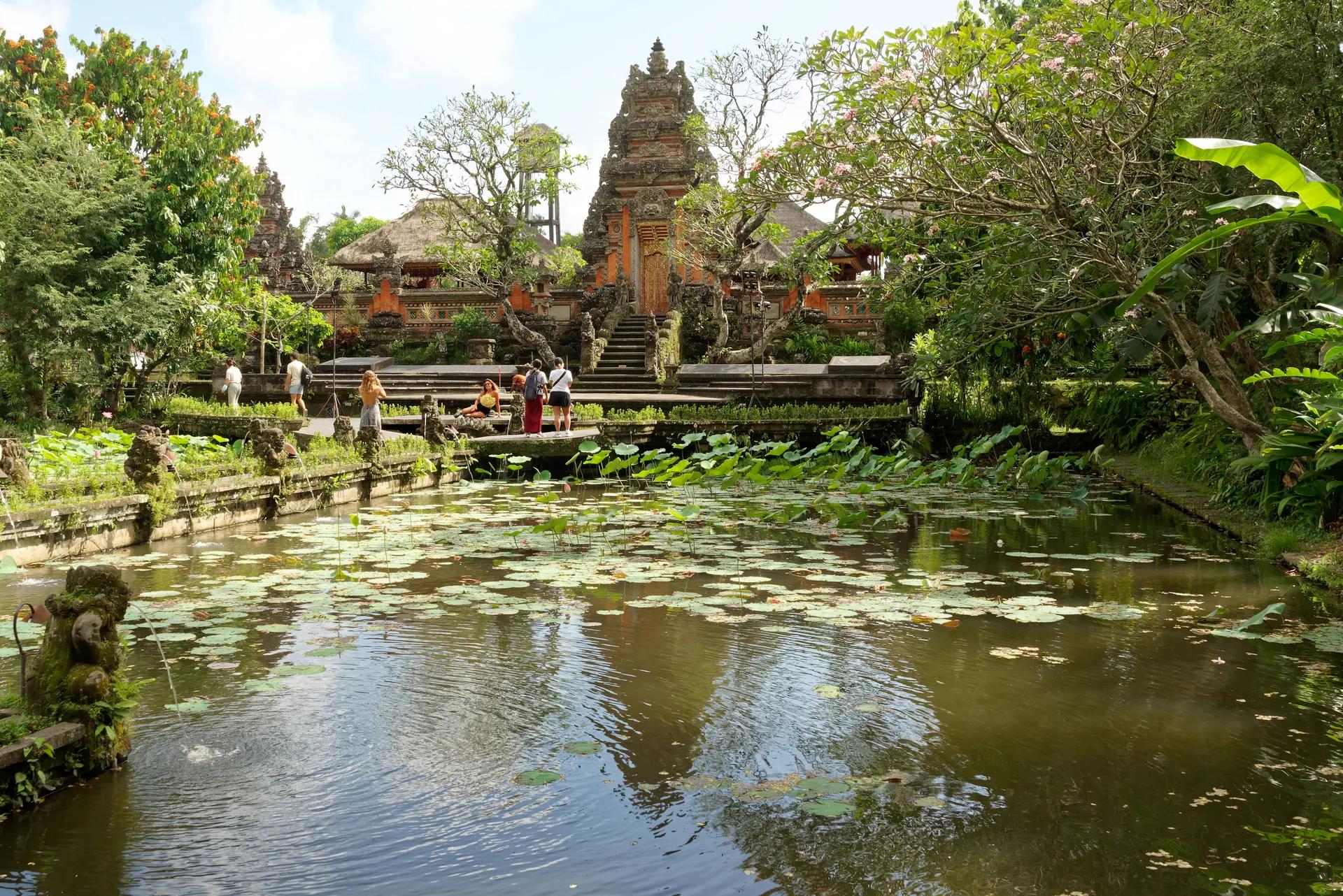 Lotus pond leading to Pura Taman Saraswati in Ubud