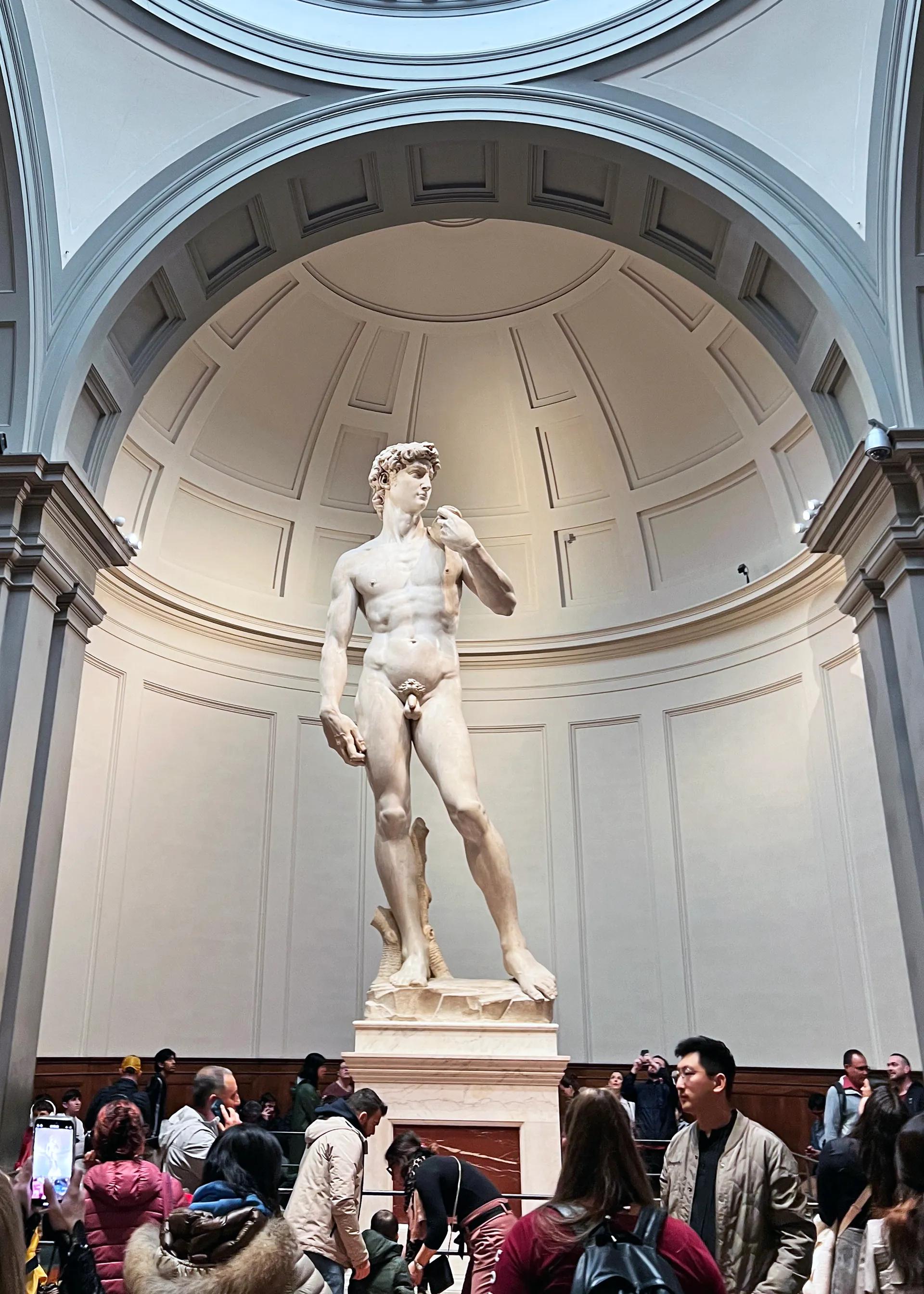 Michelangelo’s original marble David in its domed tribune at the Galleria dell’Accademia