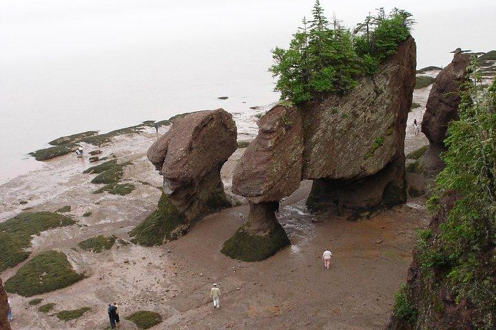 Hopewell Rocks Adgang