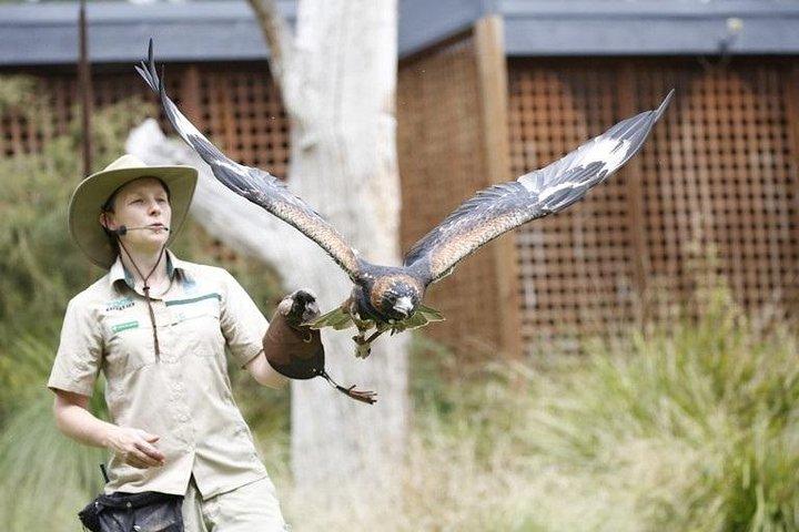 Healesville Sanctuary General Entry Ticket