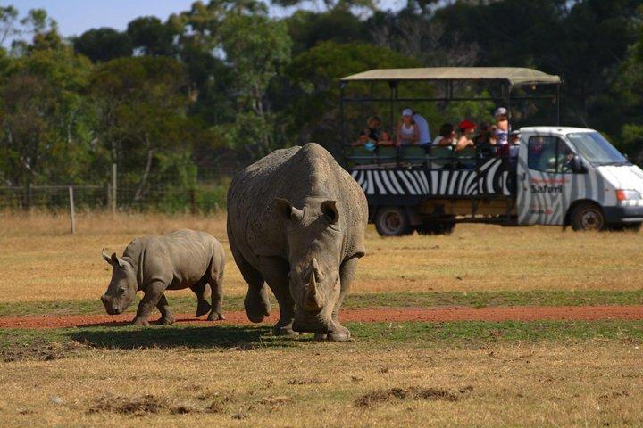 ウェロビー オープン レンジ動物園でのデラックス サファリ アドベンチャー (料金を除く)エントリ