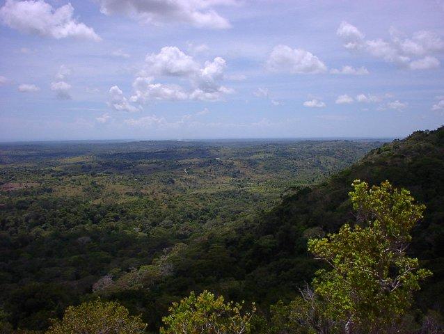 Tour in kleiner Gruppe: Shimba Hills National Park ab Diani Beach