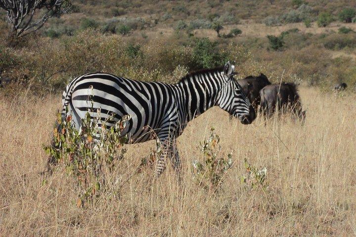 Parc national d'Amboseli pour 1 nuit et 2 jours