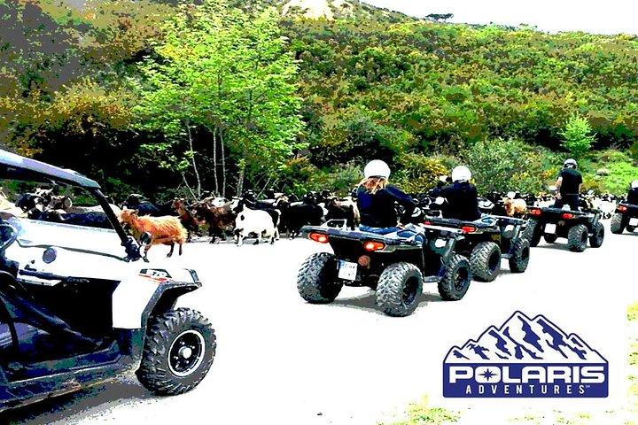 Halvdags quad-safari i Rethymno