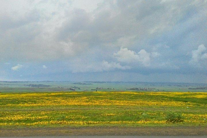 Verken de Ethiopische Rift Valley-meren en de UNESCO-site van Steles of Tiya