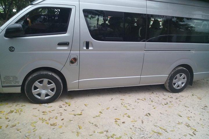 Excursions privées privées de Van Ocho Rios