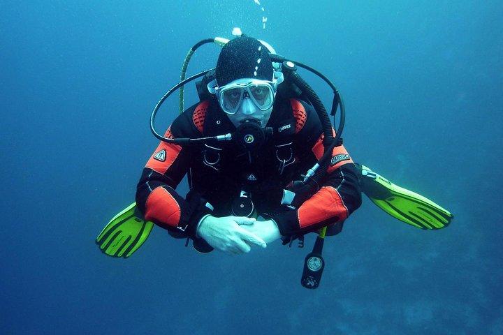 Scopri le immersioni subacquee a Negril