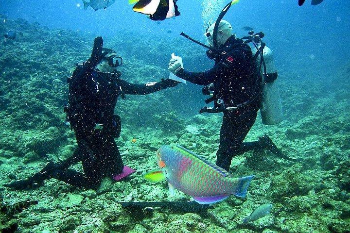 Scopri Scuba Diving a Falmouth