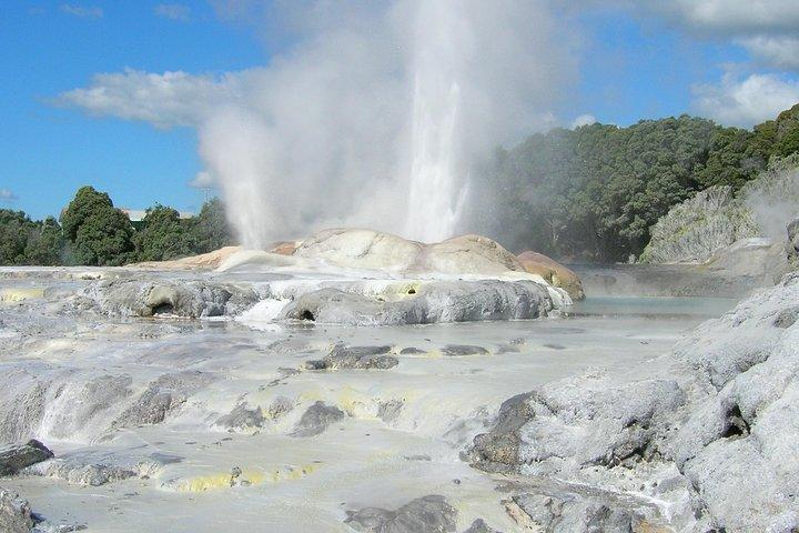 Excursion privée d'une journée complète à Rotorua au départ d’Auckland