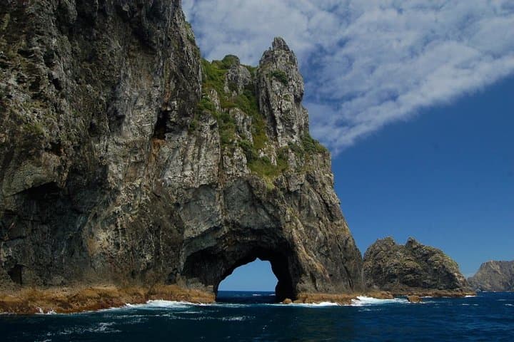 Private Tour: Bay of Islands Day Trip from Auckland