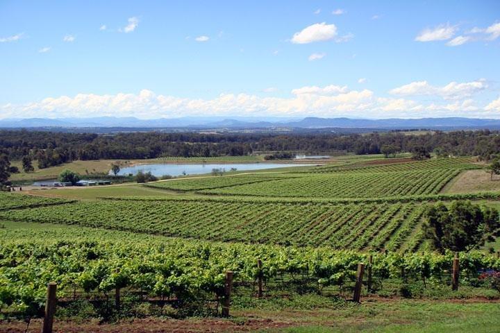 Private Hunter Valley Wine-Tasting Day Tour from Sydney