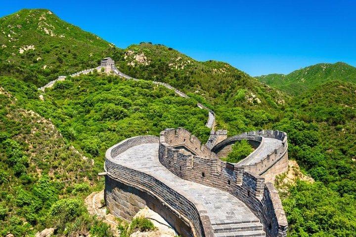 Forbidden City e Badaling Great Wall Tour Tour privato di un giorno