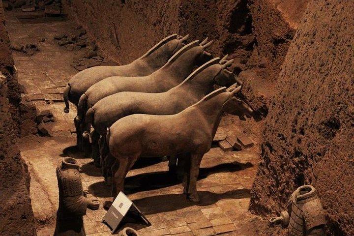 Visite d'une journée des guerriers en terre cuite personnalisée de Xian avec tracas