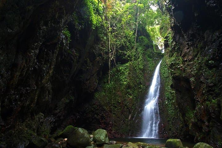 Tai Mo Shan Waterfall Adventure Hike