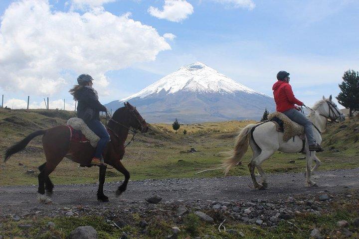 Ausritt und Wanderung zum Vulkan Cotopaxi – Tagesausflug ab Quito