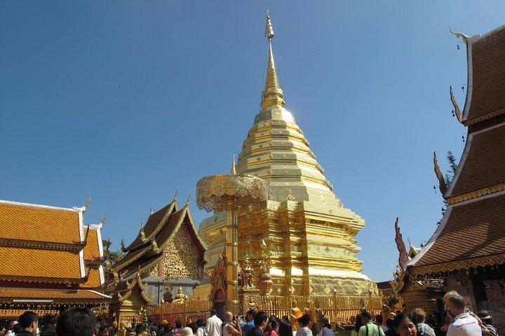 Halv dag - Lille gruppe - Doi Suthep Temple og Hmong Village Tour