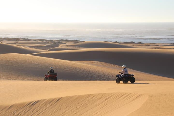 Big Cap Sim dunes and forest 3 hours tour.