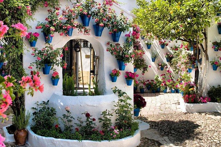 Patios Tour in Cordoba