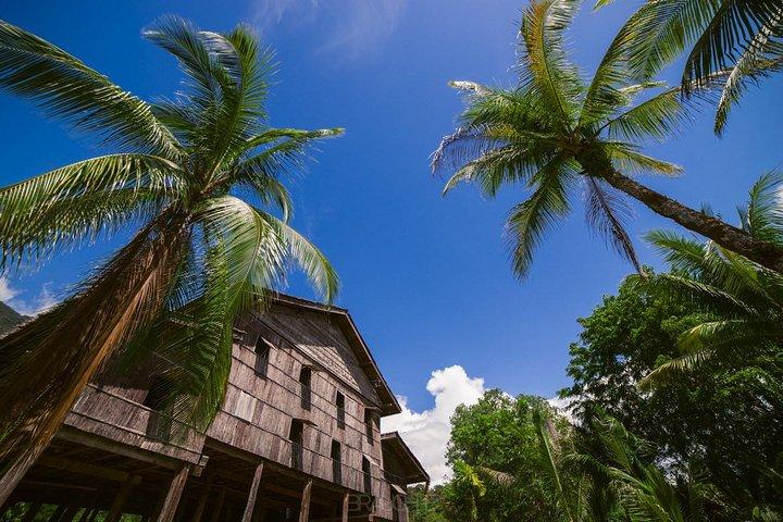 Centre des orangs-outans de Semenggoh et village culturel du Sarawak