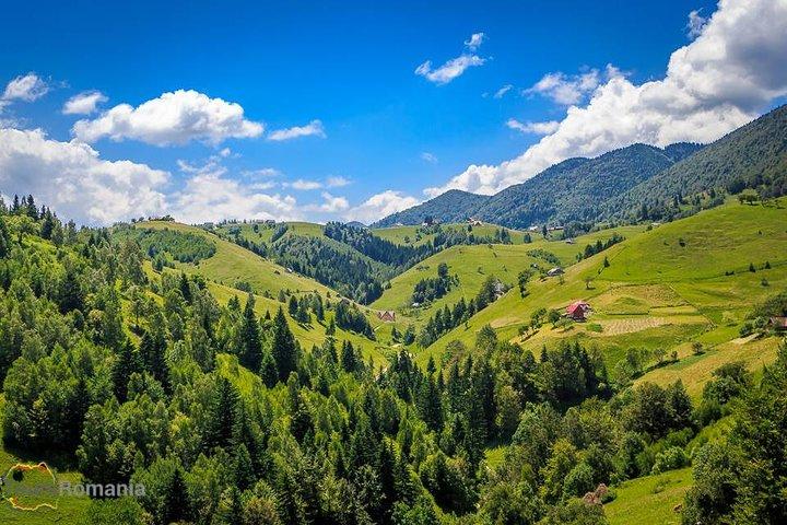 3 - Excursión de un día desde Bucarest : pueblos de Transilvania & ciudades medievales
