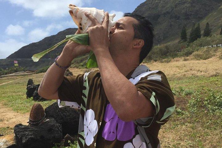 地元のガイドによる秘密のオアフ ハワイ カルチャー ツアー