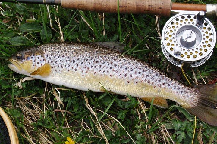 ゴールウェイのコリブ湖で野生のブラウントラウト釣り。 プライベートガイド付き。