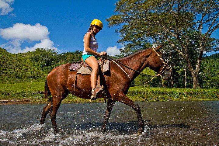 Rainforest Magic Horseback Riding Waterfall Tour Private Park Setting