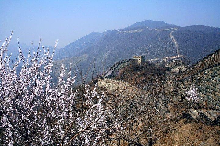 Beijing 2 - Días destacados Tour : 6 lugares imperdibles + exquisiteces locales