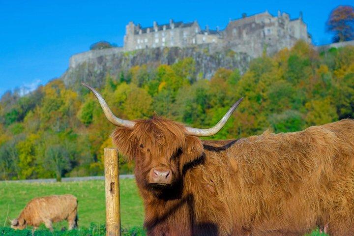 Stirling Castle,Trossachs National und Loch Lomond von Edinburgh aus