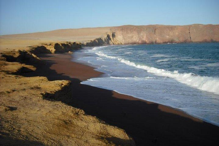 Excursion d'une journée dans les Îles Ballestas et à la Réserve nationale de Paracas au départ de Paracas