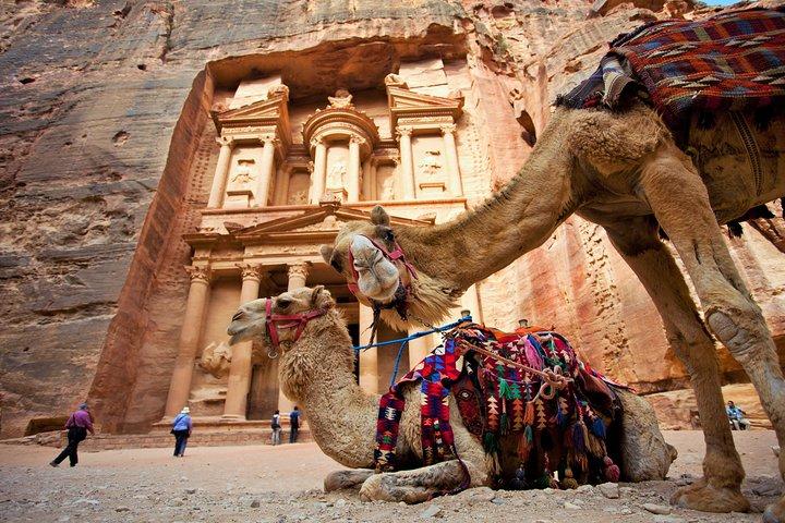 Petra Day Tour - Beste van Petra Tour van Amman met gids en lunch inbegrepen