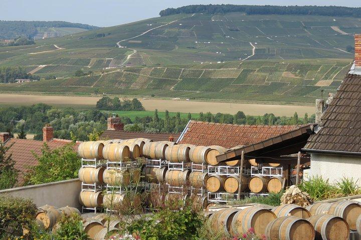 Prive-wijntour naar de Champagnestreek vanuit Parijs