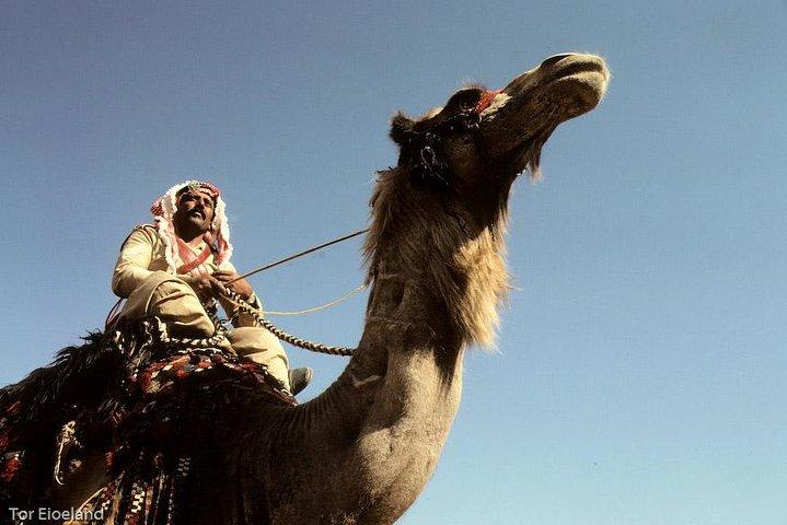 Zwei Tage Kamelsafari ab Dahab