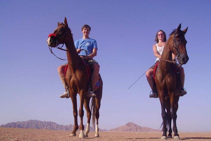 Ridning i Dahab