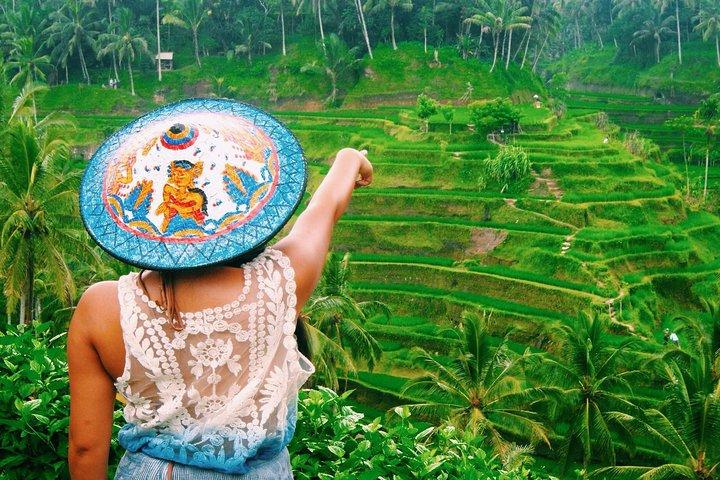 Bästa av Ubud-attraktioner: Privat all-inclusive-tur
