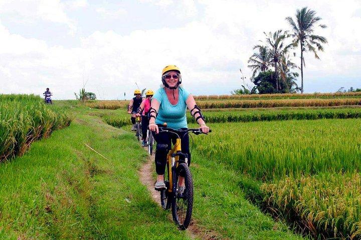 Mezza giornata di Ubud Rice Field and Village Cycling Tour