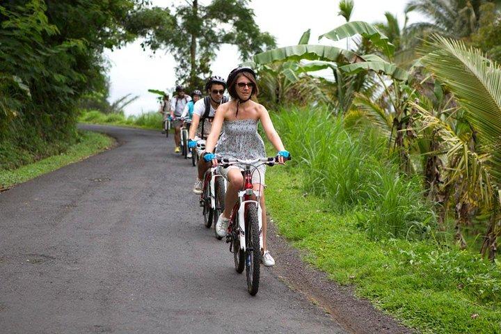 Mezza giornata di Ubud Rice Field and Village Cycling Tour