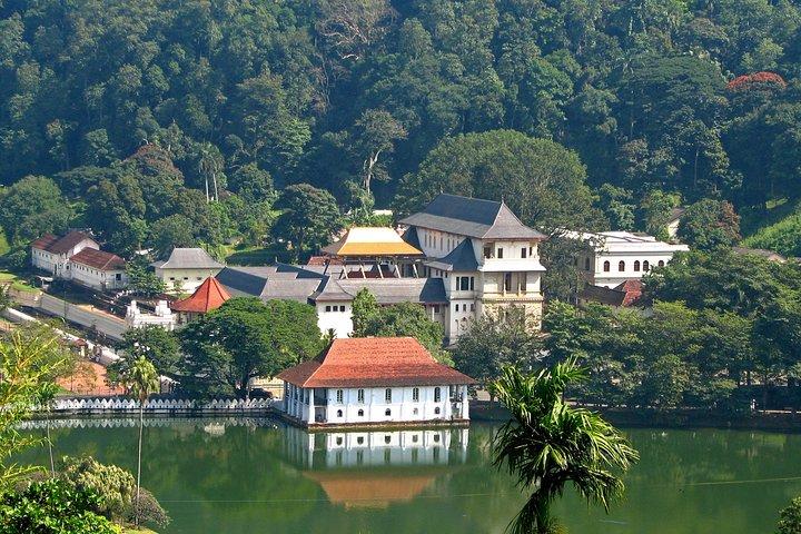 Full-Day Kandy Highlights Tour