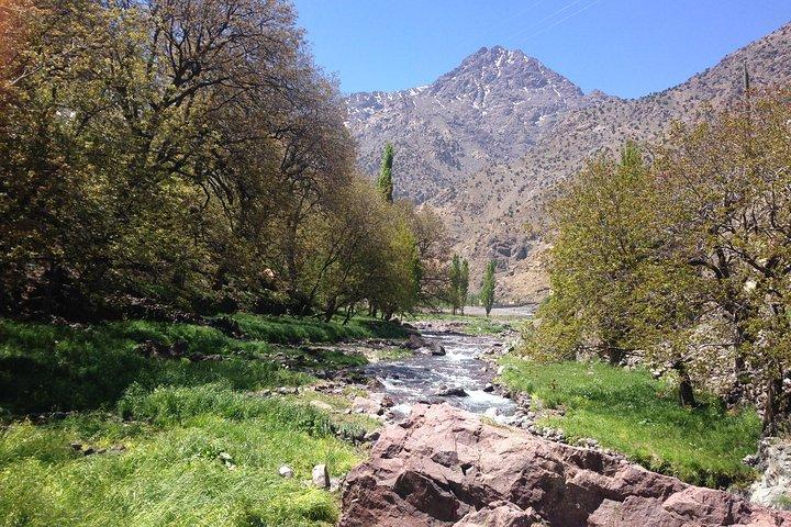 Atlas Mountains, waterfalls and Berber Villages with a guide