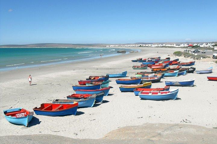Journée privée d'une journée sur la côte ouest du Cap
