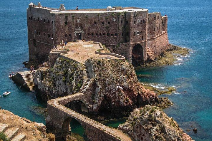 Excursion d'une journée à l'île de Berlenga au départ de Lisbonne