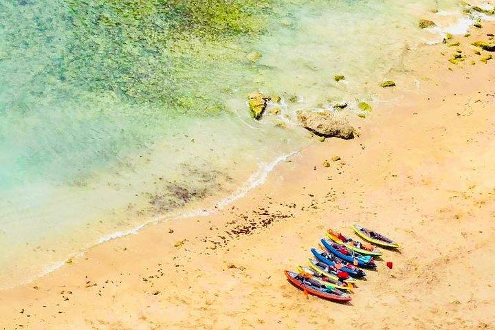 Lisbon Kayak Tour (Transfer & Lunch)
