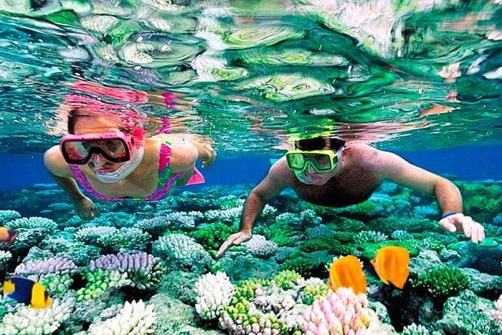 Reef Snorkel Aventure à Puerto Morelos Avec Transport & Déjeuner