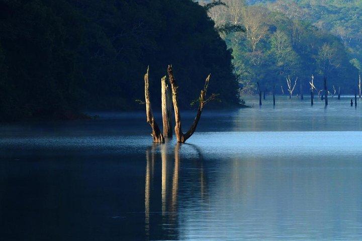 Golden Triangle Tour med Kerala