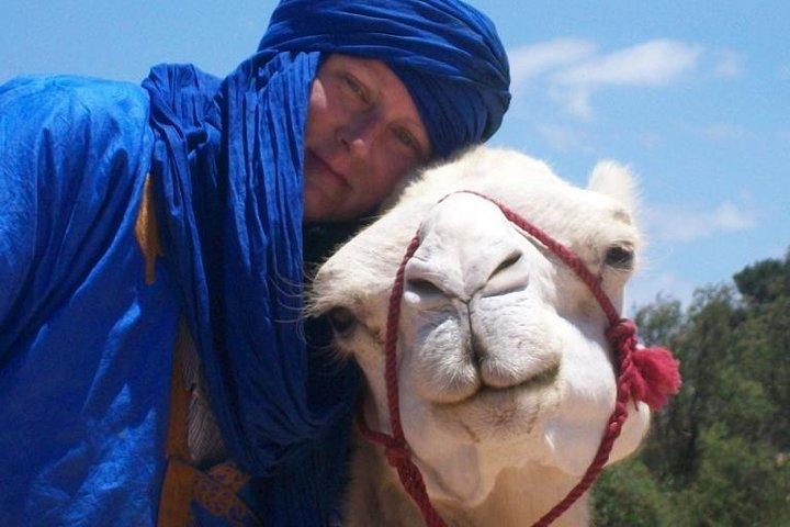Camel Ride på Essaourias strand